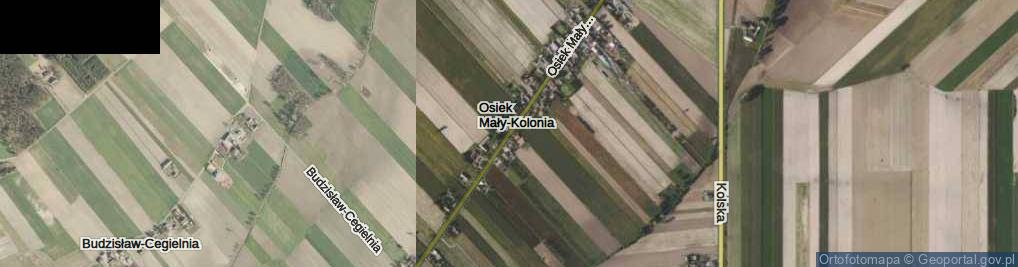 Zdjęcie satelitarne Osiek Mały-Kolonia ul.